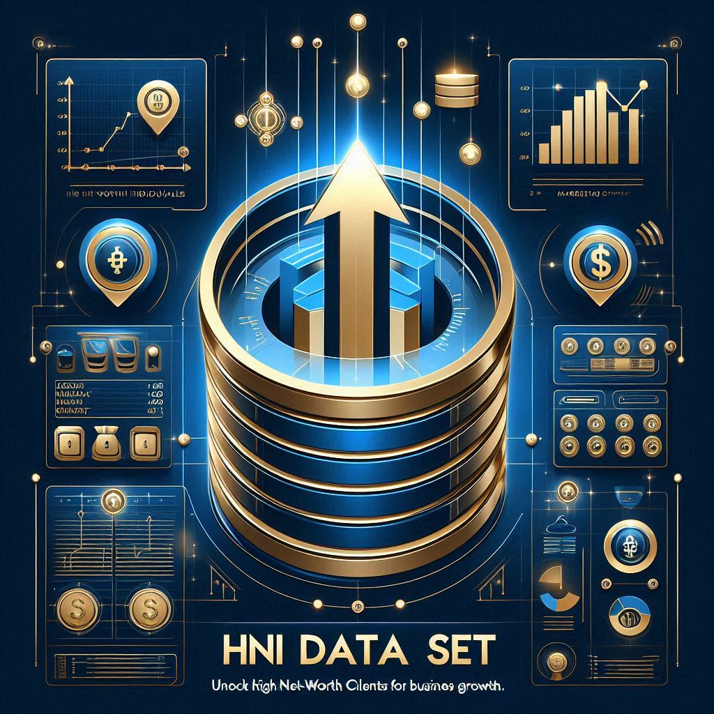 Infographic of HNI Data Set showcasing high-net-worth individuals, business growth strategies, and marketing insights.